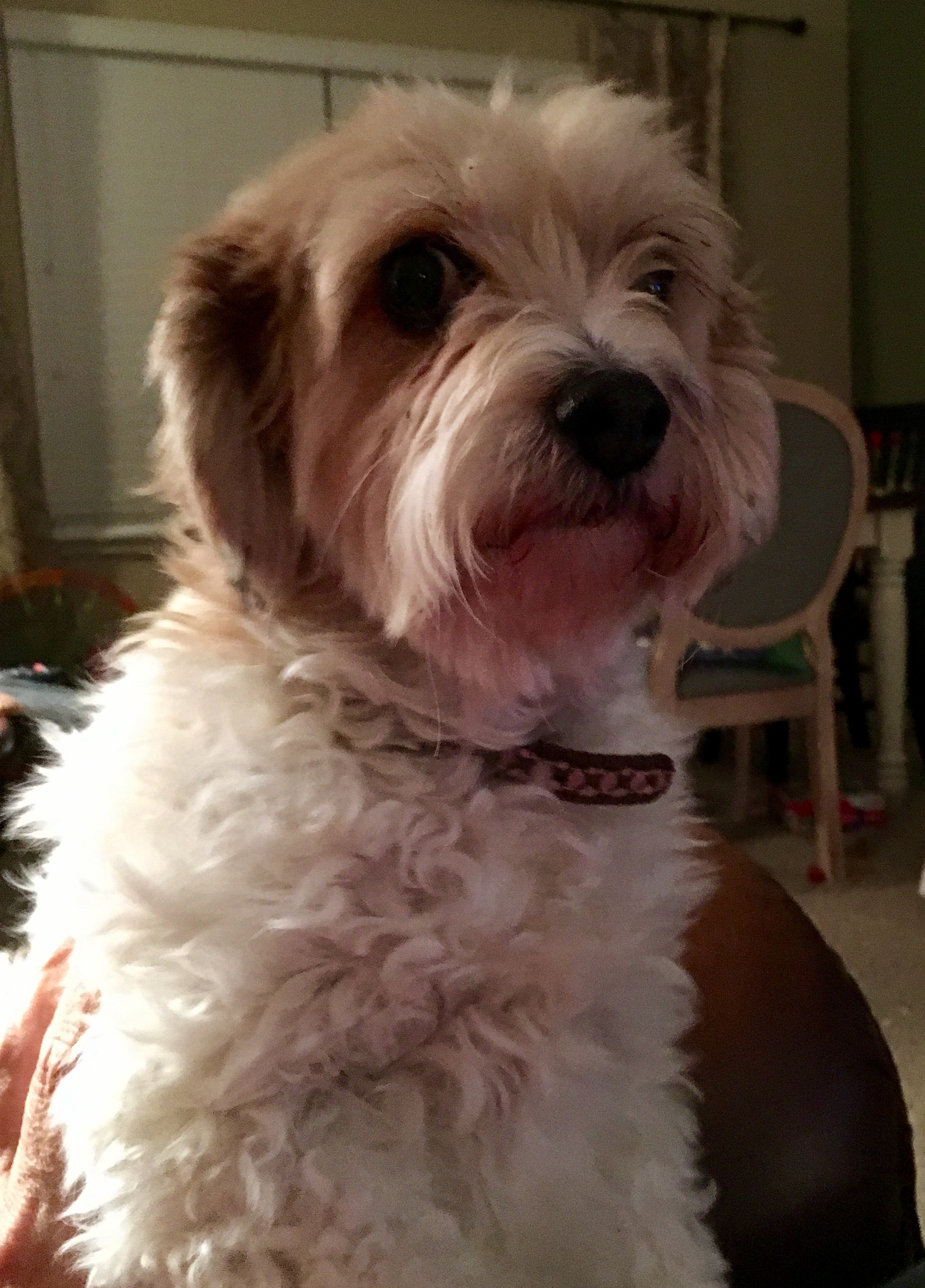 My sweet Lucie Rae