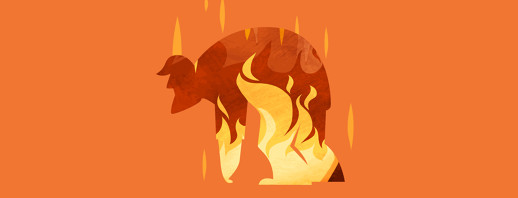 What is a Flare? One Frustrated Patient’s Definition image