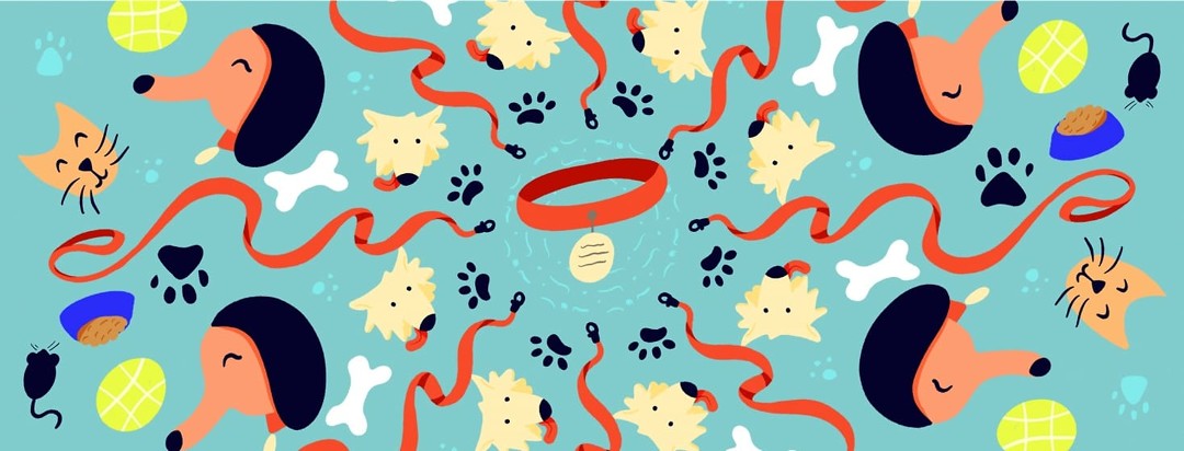 pattern made of pets and pet related items