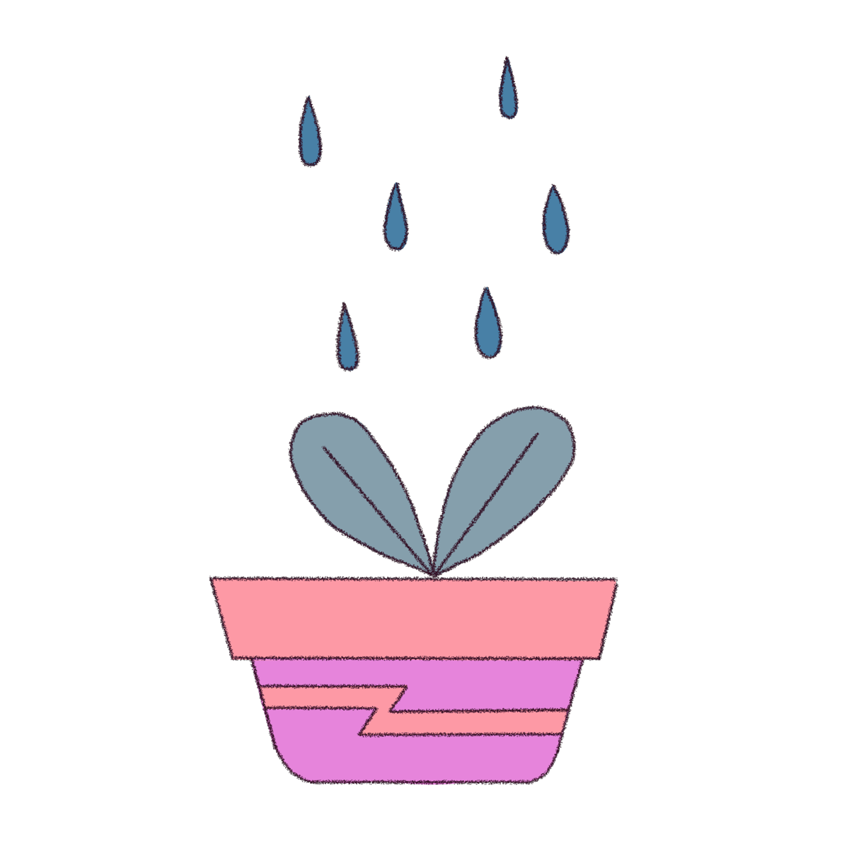 A plant being watered